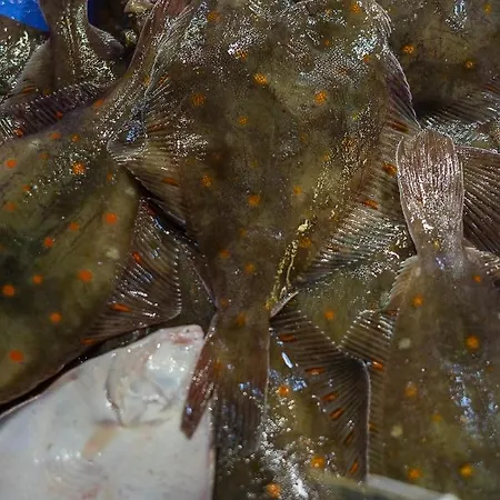 Duplex 2 Pieces Port Cabourg - 2 A 4 Personnes - Terrasse - Vue Port - Proche *